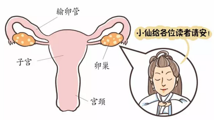 🔥苏州供卵代怀医院费用全解析：明细对比与省钱技巧