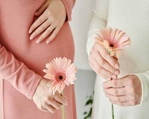 供卵代怀孕指南：全方位解锁生育梦想